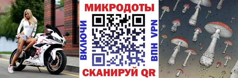 Галлюциногенные грибы прущие грибы  дарк нет формула  Тольятти  сколько стоит 