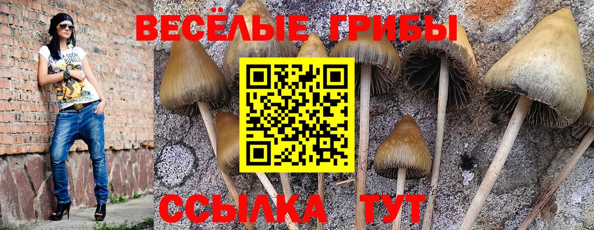 Псилоцибиновые грибы Magic Shrooms Тольятти